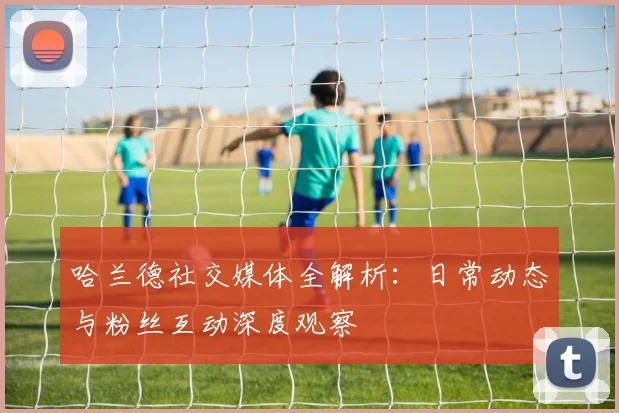 哈兰德社交媒体全解析:日常动态与粉丝互动深度观察