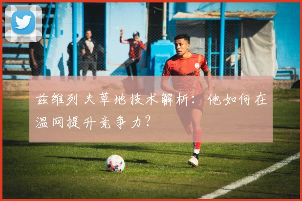 兹维列夫草地技术解析：他如何在温网提升竞争力？